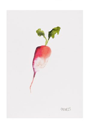 Christmas Radish 4