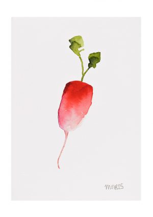 Radish 5