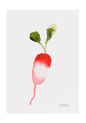 Radish 6