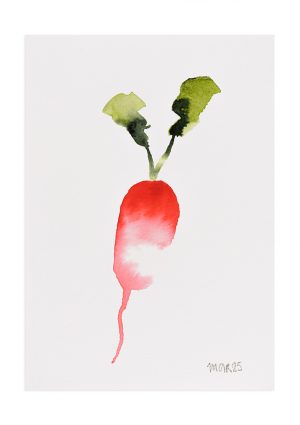 Radish 7