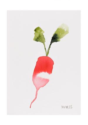 Christmas Radish 8