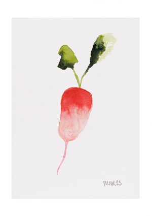 Radish 9