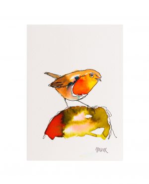 Robin 3