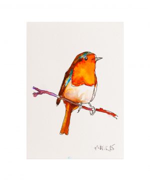 Robin 4