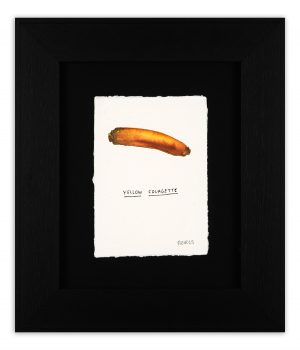 Yellow Courgette