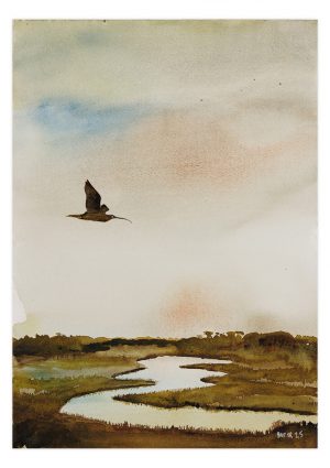 Curlew over marsh 2