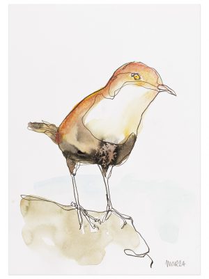 Dipper 1