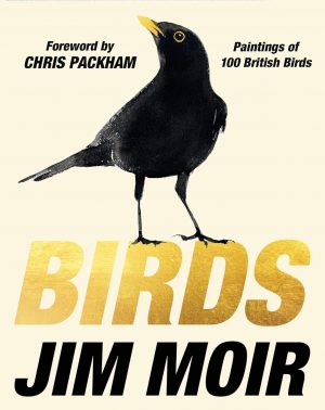 Birds - Doodle Edition
