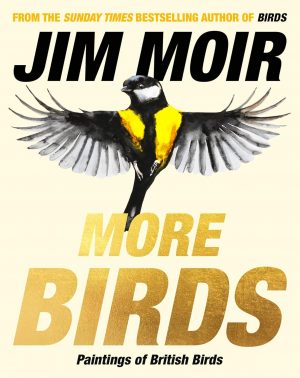 More Birds - Doodle Edition