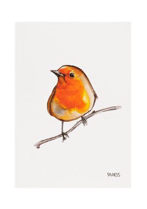 Robin 1