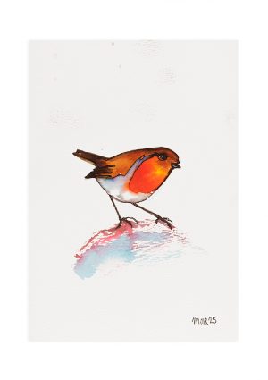 Robin 10