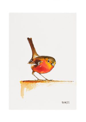 Robin 2