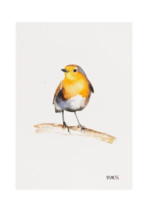 Robin 4
