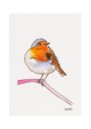 Robin 7