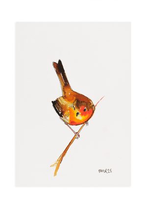 Robin 8