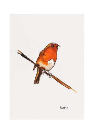 Robin 9