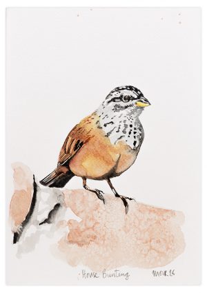 House Bunting