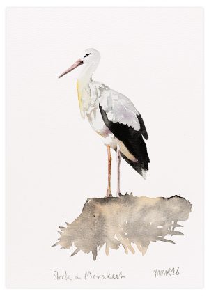Stork in Marrakech