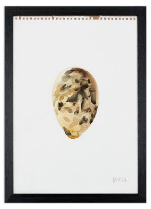 Egg