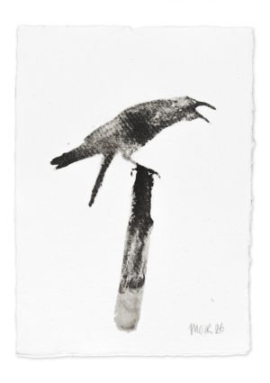 Raven Study I