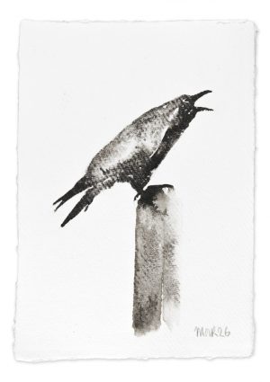 Raven Study II