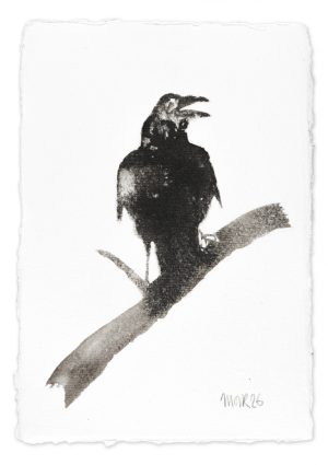 Raven Study III