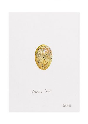 Carrion Crow Egg