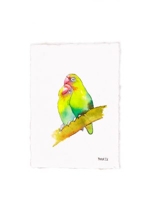 Love Bird III