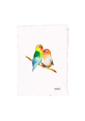 Love Bird VI