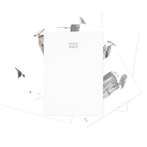 Birds on Posts - Collectors Edition Box Set