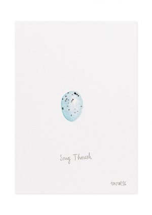 Song Thrush Egg