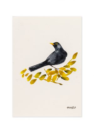 Blackbird 1