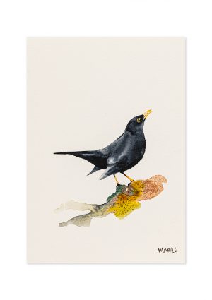 Blackbird 2
