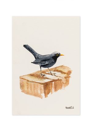 Blackbird 3