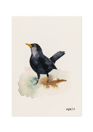 Blackbird 4