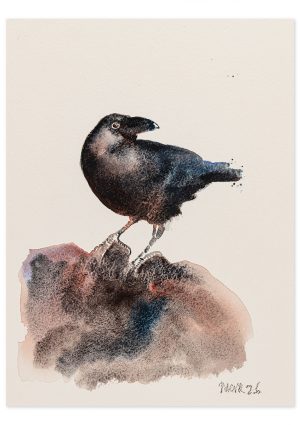 Raven
