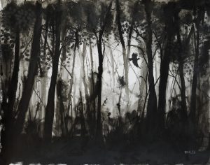 Black Woodpecker in the Woods