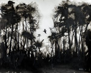 Black Woodpecker in Forests of Finland