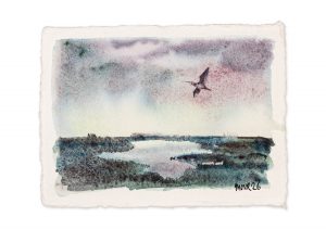 Curlew over Marshes I