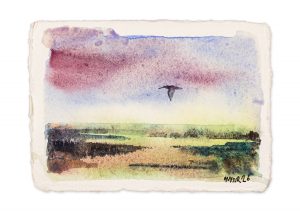 Curlew over Marshes III