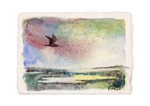 Curlew over Marshes IV