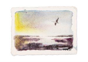 Curlew over Marshes V