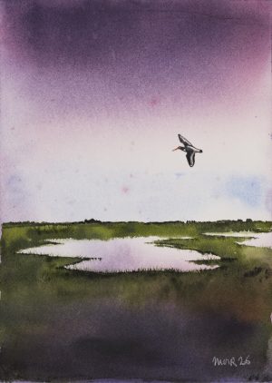 Oyester Catcher Over Marshes I