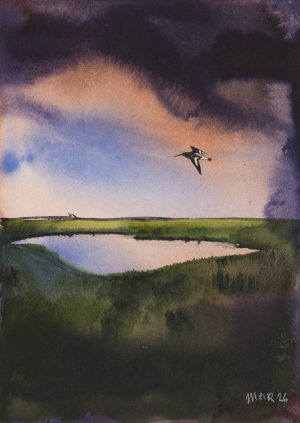 Oyster Catcher over Marshes II