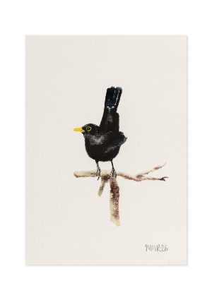 Blackbird I