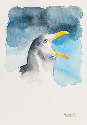 Gull I
