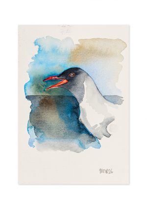 Gull II