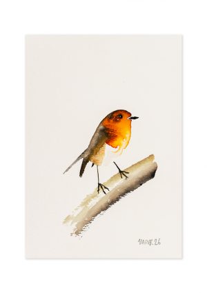 Robin