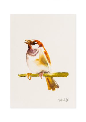 Abstract Sparrow I