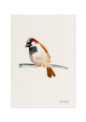 Abstract Sparrow II
